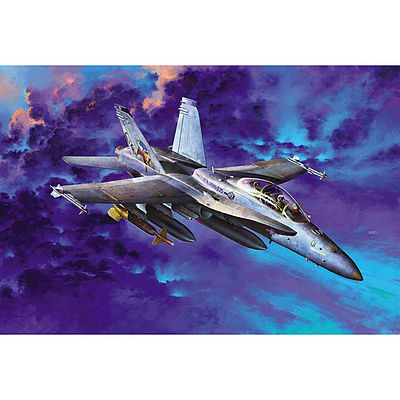 1/32 F/A18D Hornet Night Fighter (D)