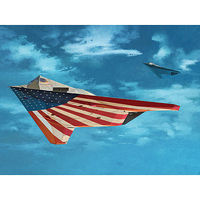 F-117A Nighthawk