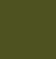 AK Olive Green opt 1 RAL6003 17ml Bottle Hobby and Model Acrylic Paint #11309