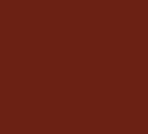 AK Red Brown RAL8012 17ml Bottle Hobby and Model Acrylic Paint #11328