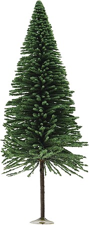 O scale best sale pine trees