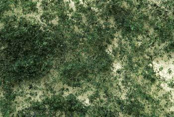 Bachmann Medium Foliage - Dark Green Model Railroad Grass Earth #32608