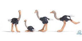 Busch Ostriches (4) HO Scale Model Railroad Figure #1194 Busch Ostriches (4) HO Scale Model Railroad Figure #1194