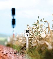 Busch Stone/Concrete Mileposts Kit pkg(40) HO Scale Model Railroad Trackside Accessory #1491 Busch Stone/Concrete Mileposts Kit pkg(40) HO Scale Model Railroad Trackside Accessory #1491