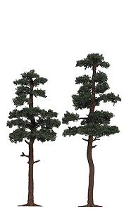Busch Pine Trees - 5-3/4 & 6-5/16 HO Scale Model Railroad Tree #6142