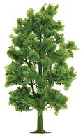 Busch Beech tree 210mm HO-Scale