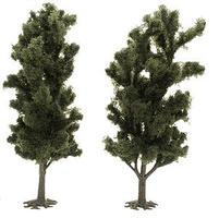 Busch Poplar Tree 150mm Package of 2 HO Scale Model Railroad Tree #6953 Busch Poplar Tree 150mm Package of 2 HO Scale Model Railroad Tree #6953
