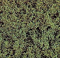 Busch Foam Scatter Material-Fine - Medium Green Model Railroad Grass Earth #7312