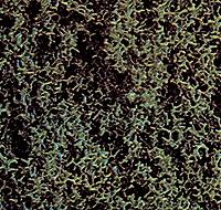 Busch Foam Scatter Material-Fine - Dark Green Model Railroad Grass Earth #7313