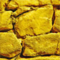 Chooch Ho Sea Wall Large 2pk Chooch Ho Sea Wall Large 2pk