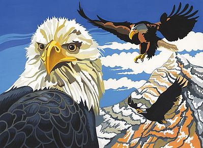 Colart Soaring Eagles Acrylic Paint by Number 11.5x15.5 Paint By Number Kit #11016