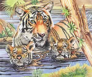 Colart Tiger & Cubs Pencil by Number 11.5x15.5 Paint By Number Kit #51001