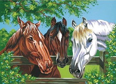 Colart Horses Acrylic Paint by Number 11.5x15.5