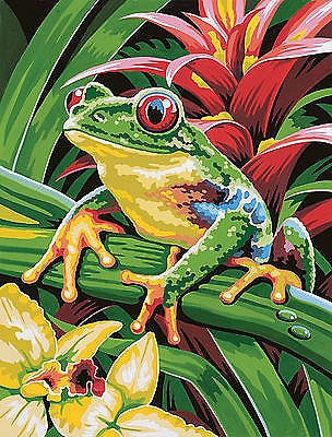 Colart Tree Frog Acrylic Paint by Number 9x12