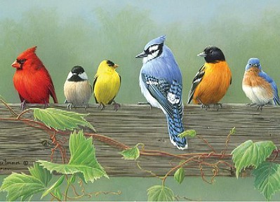 Colart Rail Birds Acrylic Paint by Number 12x16 (Replaces #78032)
