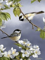 Colart Spring Chickadee Birds Acrylic Paint by Number 9''x12'' (Replaces #85008) Colart Spring Chickadee Birds Acrylic Paint by Number 9''x12'' (Replaces #85008)