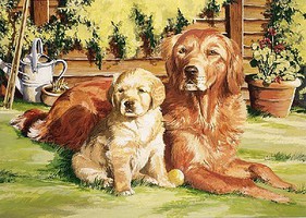 Colart Dog's Life (Retriever & Pup) Acrylic Paint by Number 11.5''x15.5'' (Replaces #85231) Colart Dog's Life (Retriever & Pup) Acrylic Paint by Number 11.5''x15.5'' (Replaces #85231)