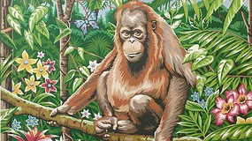Colart Orangutan in Jungle (Flowers & Butterfly) Acrylic Paint by Number 11.5''x15.5'' (Replaces #85698) Colart Orangutan in Jungle (Flowers & Butterfly) Acrylic Paint by Number 11.5''x15.5'' (Replaces #85698)