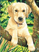 Colart Labrador Puppy Acrylic Paint by Number 9''x12'' (Replaces #91210) Colart Labrador Puppy Acrylic Paint by Number 9''x12'' (Replaces #91210)