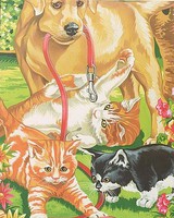 Colart Dog & Kittens Acrylic Paint by Number 9''x12'' (Replaces #91226) Colart Dog & Kittens Acrylic Paint by Number 9''x12'' (Replaces #91226)
