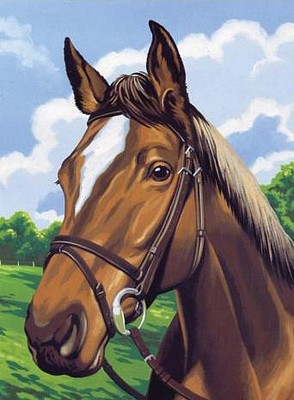 Colart Horse Head Acrylic Paint by Number 9x12 (Replaces #12010)