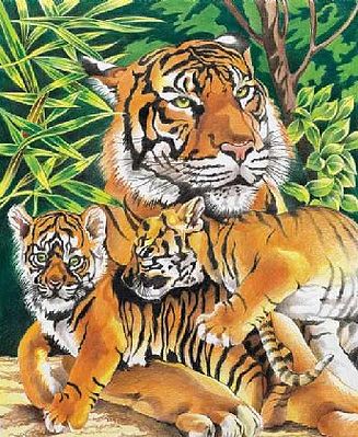 Colart Tigers & Cubs Pencil by Number 10x12 Paint By Number Kit #91311