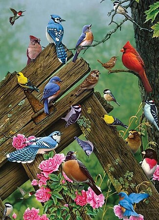 Cobble-Hill Birds of the Forest Puzzle (1000pc)