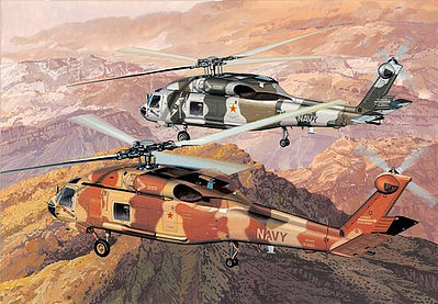 DML SH-60F Oceanhawk NSAWC Top Gun (2) Plastic Model Helicopter Kit 1/144 Scale #4612