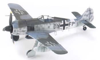 DML Fw190G3 Long Range Fighter Bomber Plastic Model Airplane Kit 1/48 Scale #5537