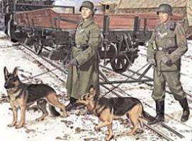 DML German Feldgendarmerie w/Dogs Plastic Model Military Figure 1/35 Scale #6098 DML German Feldgendarmerie w/Dogs Plastic Model Military Figure 1/35 Scale #6098
