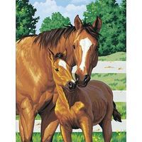 Mothers Pride (Horse with Foal) Paint By Number Kit #91100