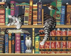 Dimensions Frederick the Literate (Cat on Bookshelf) Paint By Number Kit #91130