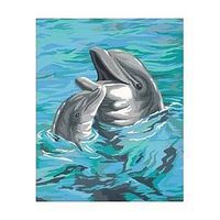 Dimensions Dolphin Duo Paint By Number Kit #91148 Dimensions Dolphin Duo Paint By Number Kit #91148