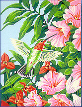 Dimensions Hummingbird & Fuchsia Flowers Paint By Number Kit #91310