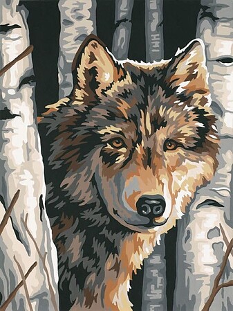 Dimensions Wolf among Birches Paint By Number Kit #91325