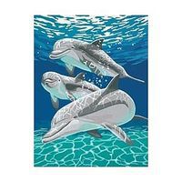 Dimensions Sunlit Pals (Dolphins) Paint By Number Kit #91326 Dimensions Sunlit Pals (Dolphins) Paint By Number Kit #91326