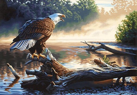 Paint by Number Kit 20X14-Eagle Hunter