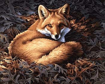 Dimensions Sunlit Fox Paint By Number Kit #91380