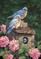 Garden Bluebirds with Birdhouse Paint By Number Kit #91401