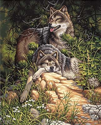 Dimensions Wild & Free Wolves Paint By Number Kit #91416