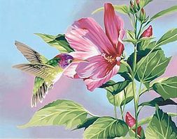 Hibiscus & Hummingbird Paint By Number Kit #91419