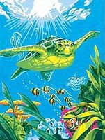 Dimensions Swimming Turtle Paint By Number Kit #91471 Dimensions Swimming Turtle Paint By Number Kit #91471