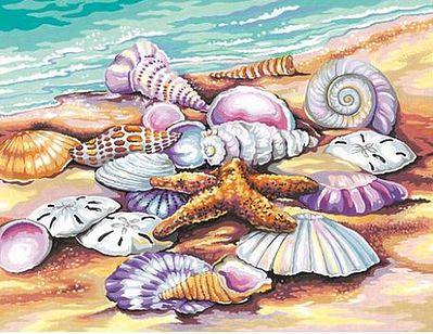 Dimensions Shells (Seashore) Paint By Number Kit #91526