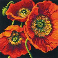 Red Poppy Trio (Flowers) Paint By Number Kit #91527