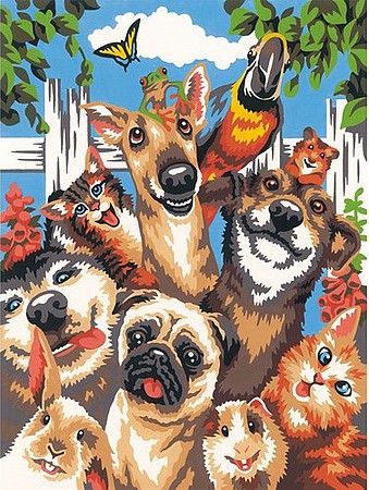 Dimensions Pet Animals Selfie (9''x12'') Paint By Number Kit #91679