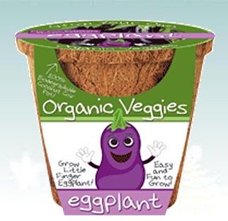 Dunecraft Grow Your Own Organic Eggplant Veggie Kit