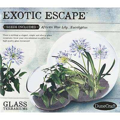 Exotic Escape