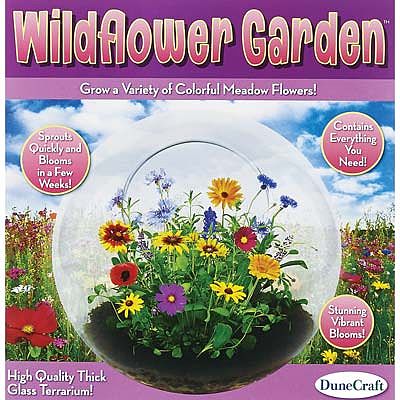 Dunecraft Wildflower Garden