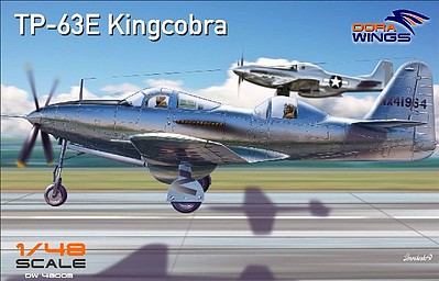 Downtown-Deco 1/48 TP63E King Cobra Two-Seater Aircraft