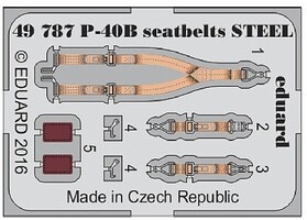 Eduard-Models P40B Steel Seatbelts for ARX (Painted) Plastic Model Aircraft Accessory 1/48 Scale #49787